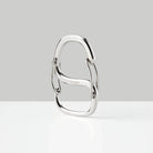 Coachwhip Carabiner in Stainless Steel by Craighill