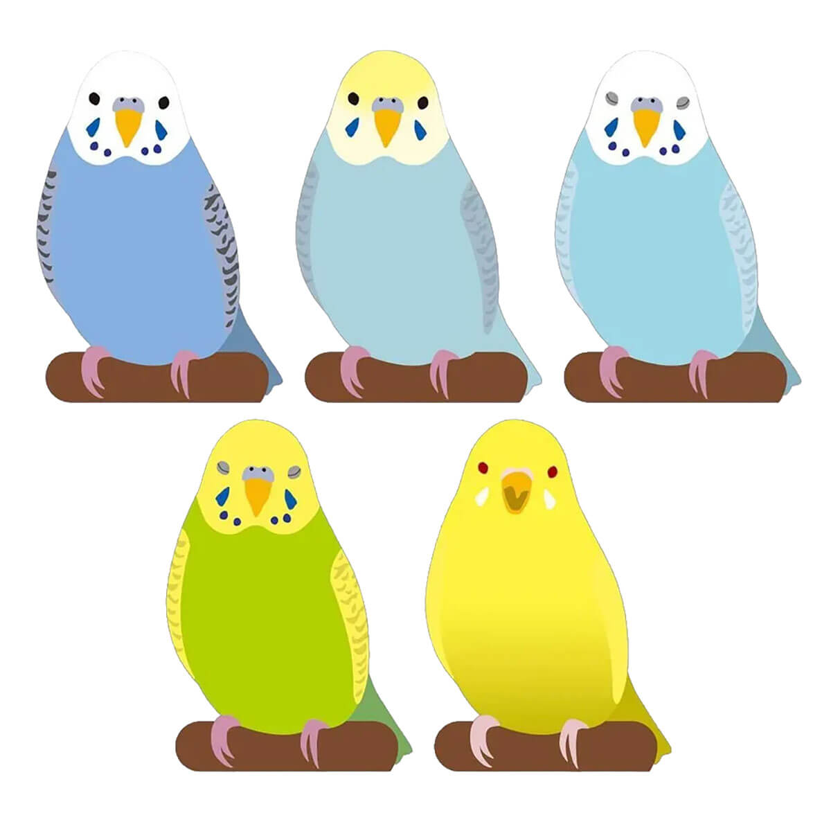 Parakeet Memo Pad by Greeting Life
