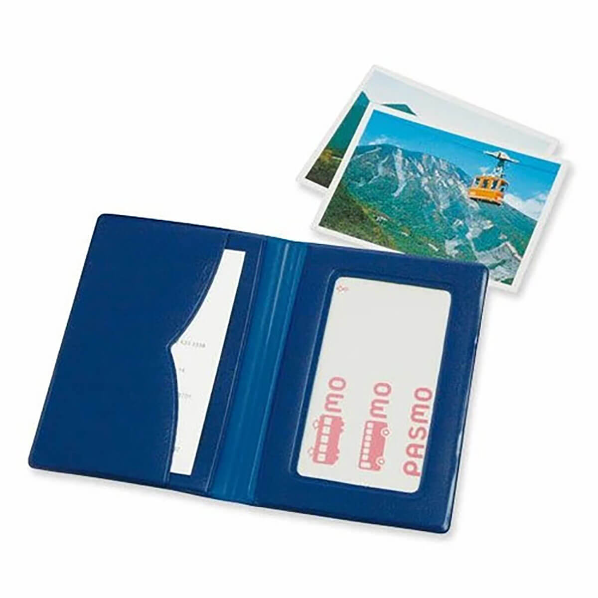 Double Pass Case in Blue by Hightide New Retro