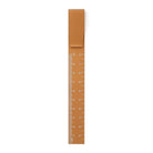 Clip Ruler (10cm) in Brown by Hightide Penco