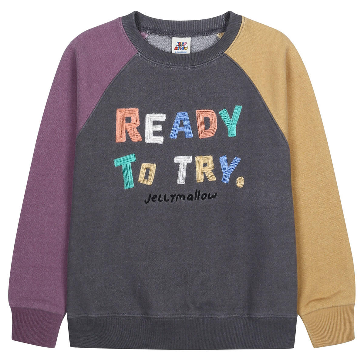 Ready Washed Color Block Sweatshirt in Charcoal by Jelly Mallow