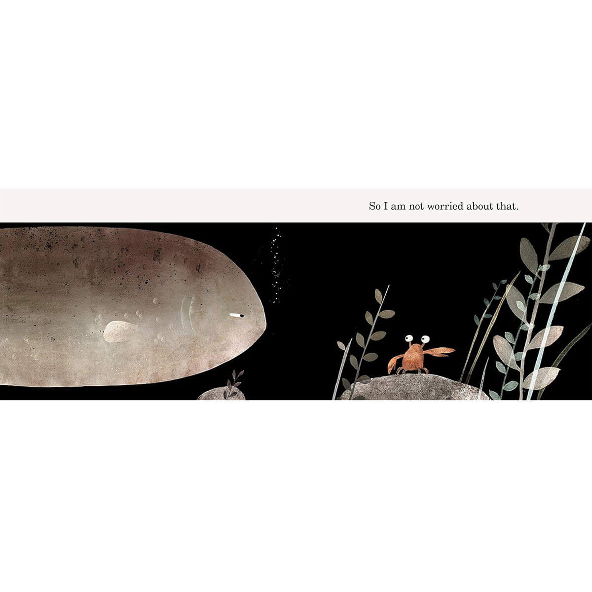 This Is Not My Hat Board Book by Jon Klassen