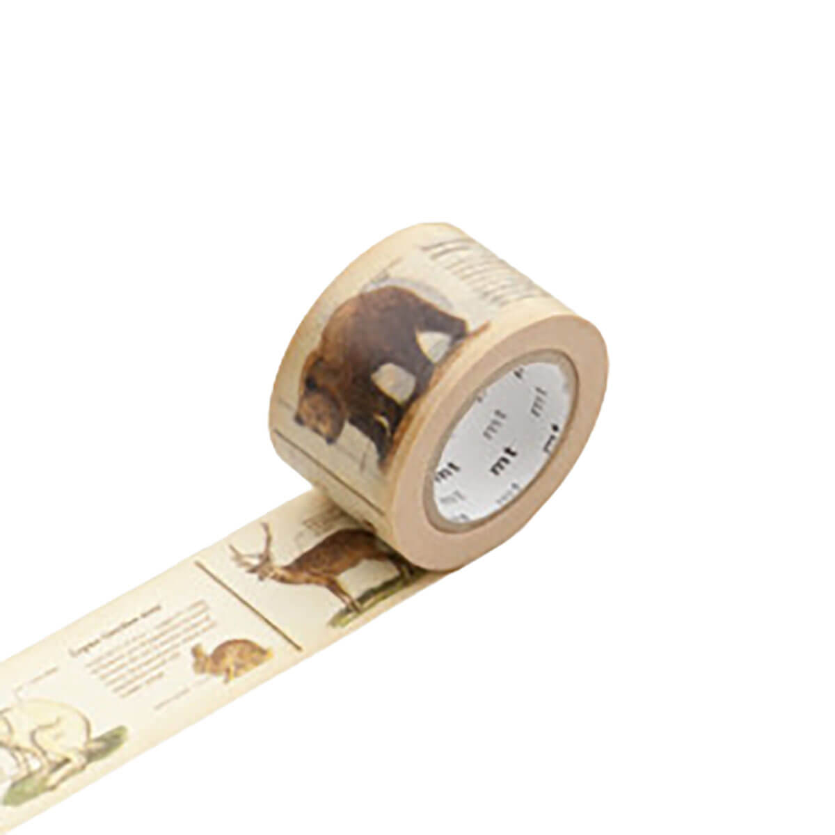 Encyclopedia Animal 30mm Ex Collection Washi Tape by MT Japan