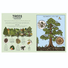Nature Explained: A Family Guide to 20 Nature Cycles by Helen Brown & Claire Scully