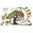 Nature Explained: A Family Guide to 20 Nature Cycles by Helen Brown & Claire Scully