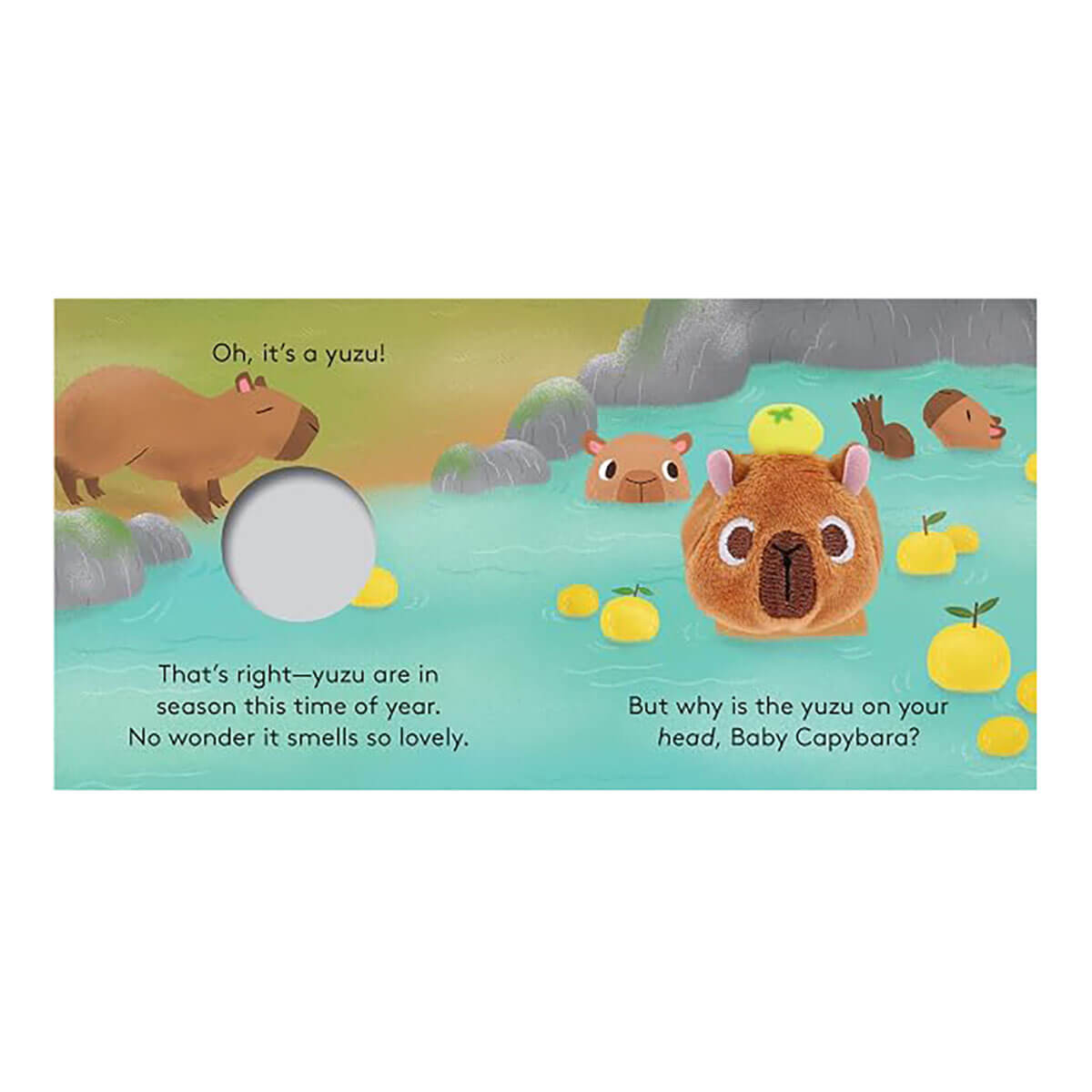 Baby Capybara: Finger Puppet Book by Yu-Hsuan Huang