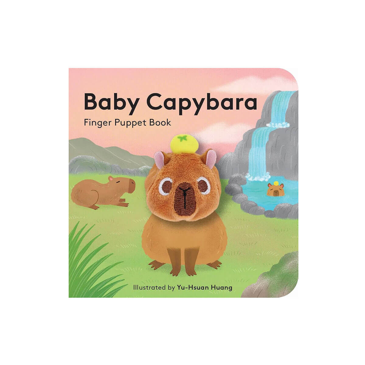 Baby Capybara: Finger Puppet Book by Yu-Hsuan Huang
