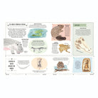 Wild: A Child's Guide to the Animal Kingdom by Jack Ashby & Sara Boccaccini Meadows