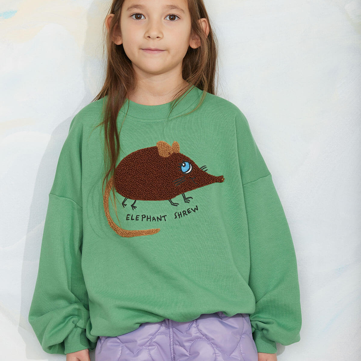 Elephant Shrew Chenille Sweatshirt in Green by Mini Rodini