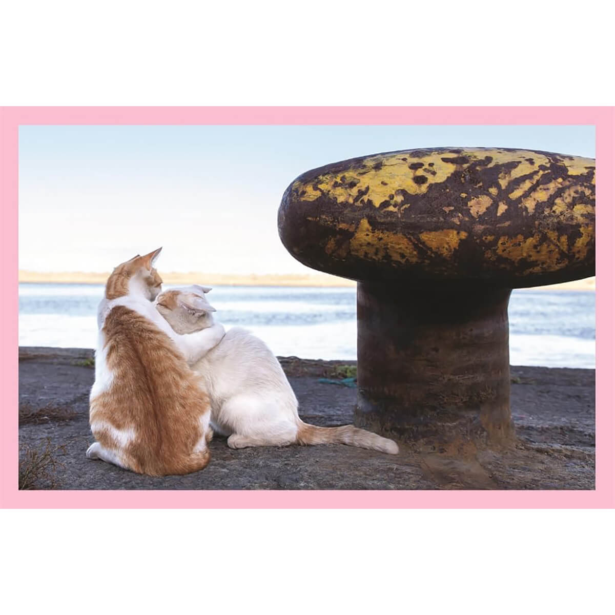 Neko: Cats Of Japan by Masayuki Oki – Junior Edition