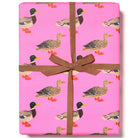 Quacky Birthday Gift Wrap By Red Cap Cards