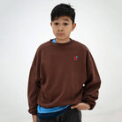 Crewneck Sweater in Pure Chocolate by Repose AMS