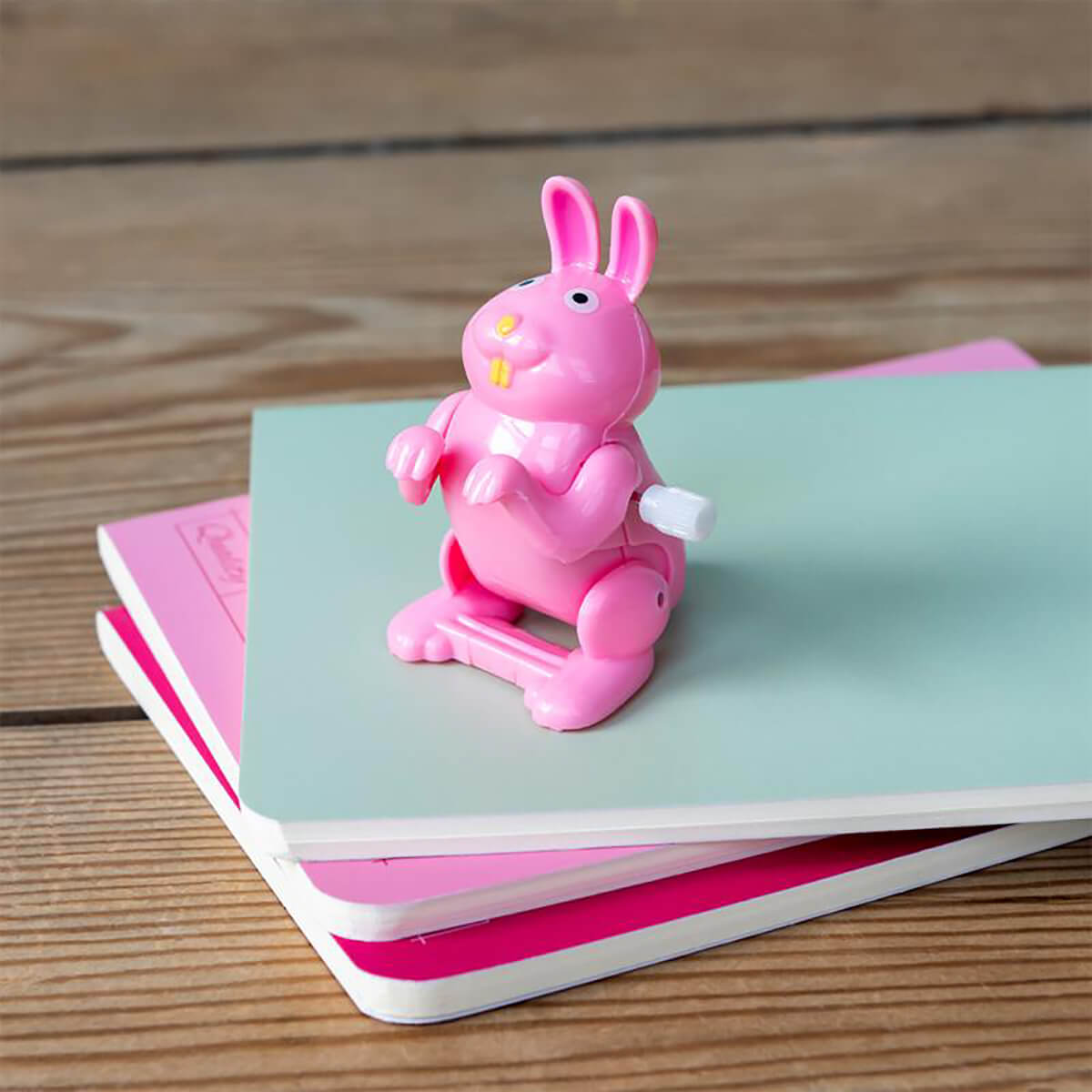 Wind Up Jumping Bunny Toy by Rex London – Junior Edition
