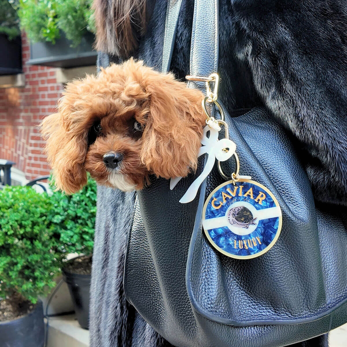 Caviar Bag Charm by Solar Eclipse