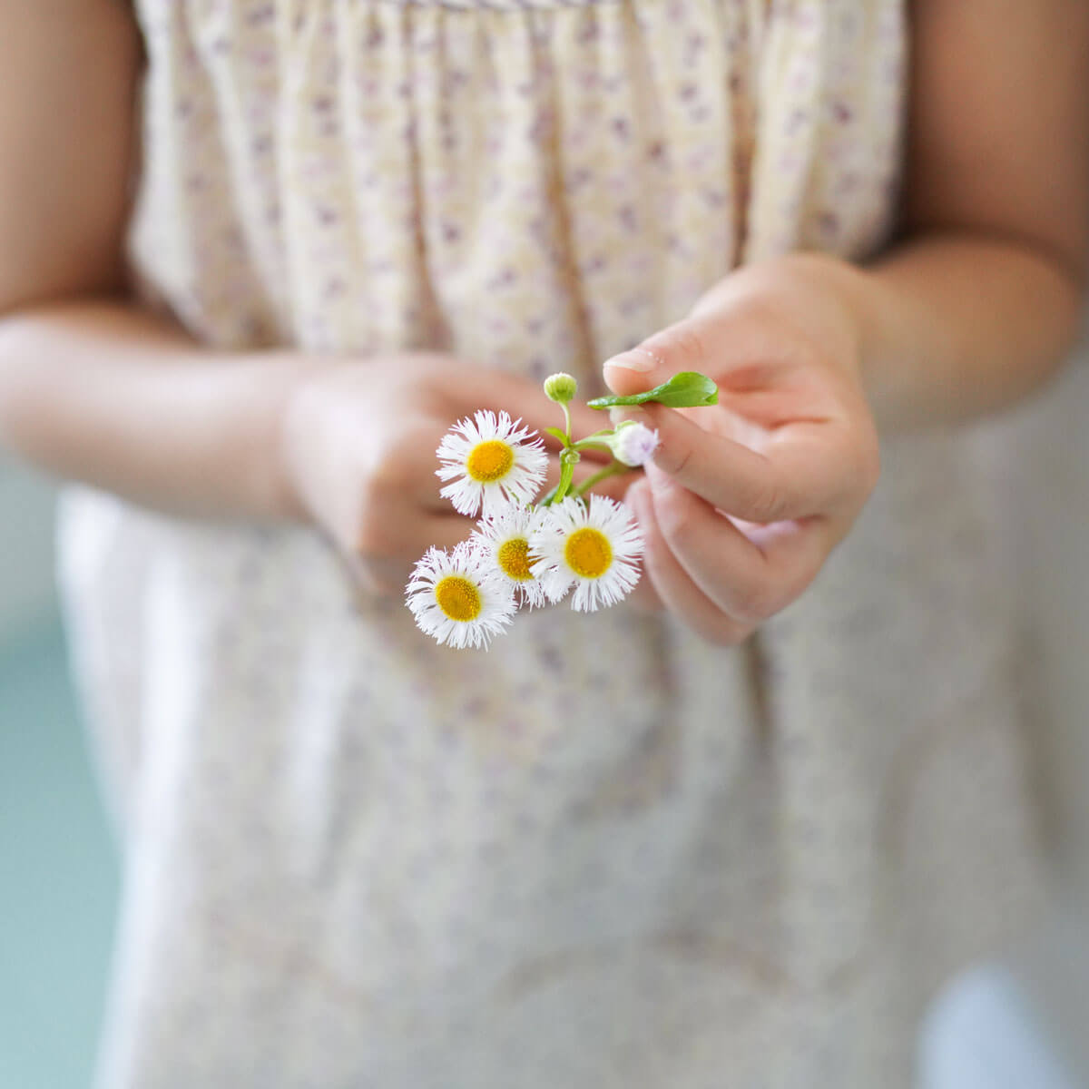 Delilah Dress in Flower Press Print Soy by Soor Ploom