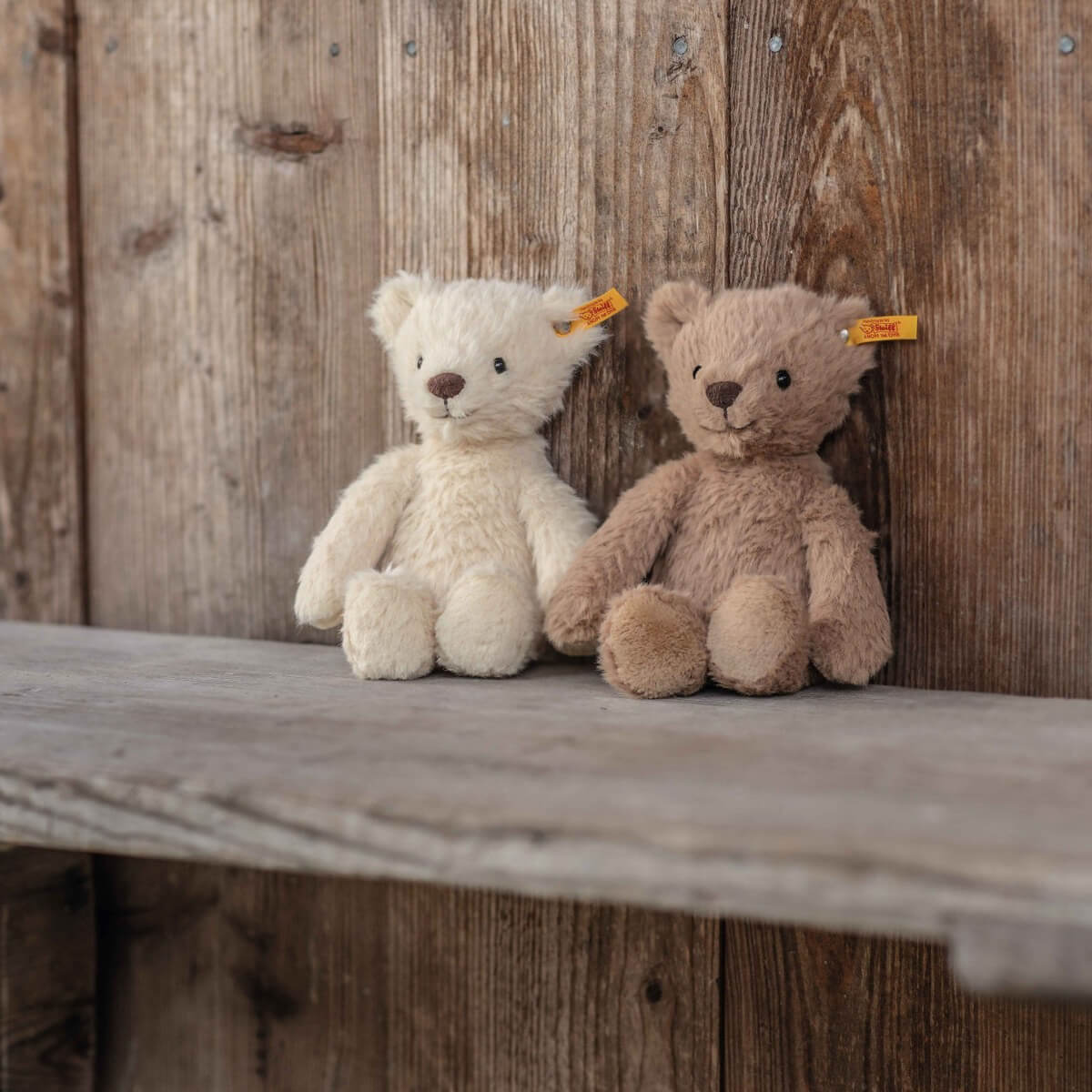Thommy Teddy Bear (20cm) in Caramel by Steiff – Junior Edition