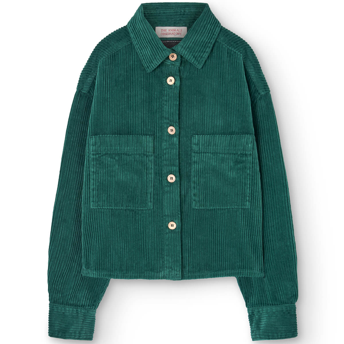 Beaball Kid Shirt in Green by The Animals Observatory - Last Ones In S ...
