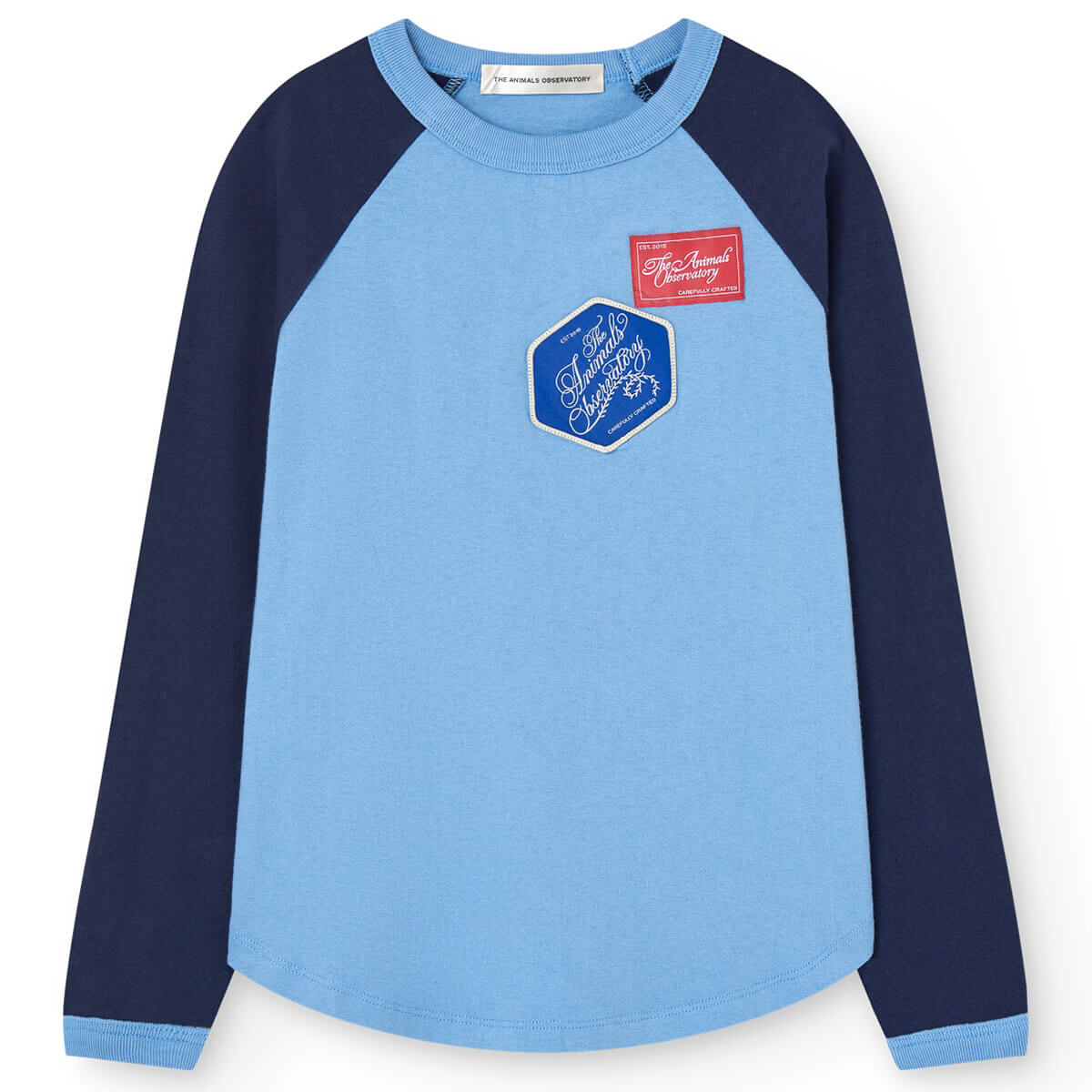 Anteater Kid Long Sleeve T-Shirt in Dusty Blue by The Animals Observatory