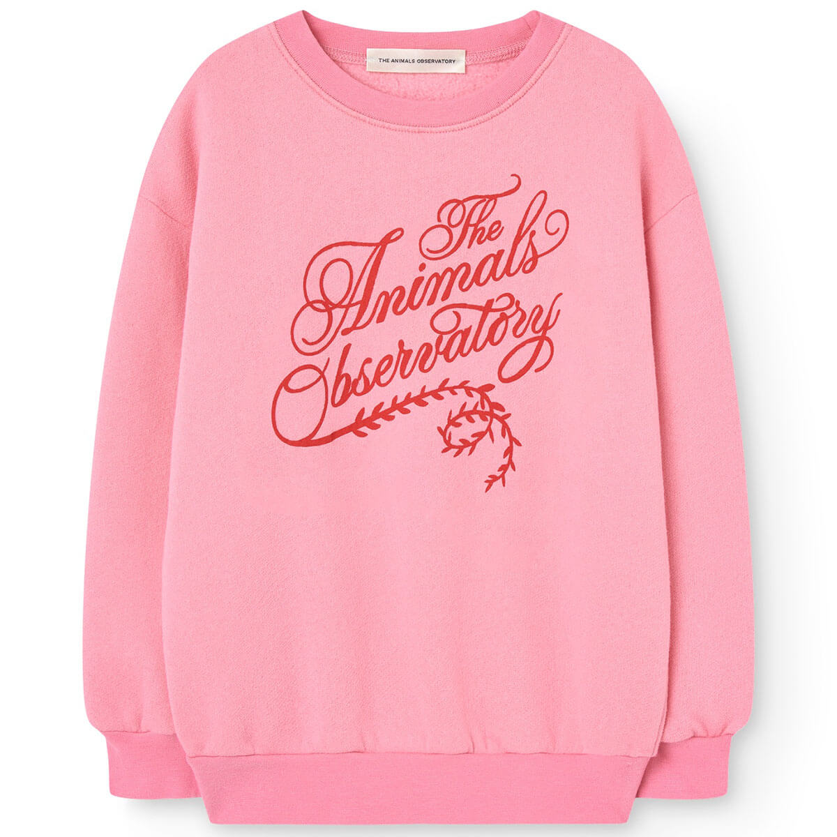 Bear Kid Sweatshirt in Pink by The Animals Observatory