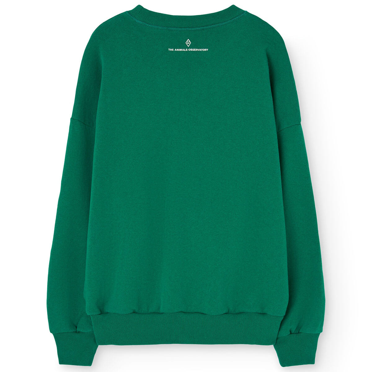 Killifish Kid Sweatshirt in Dark Green by The Animals Observatory