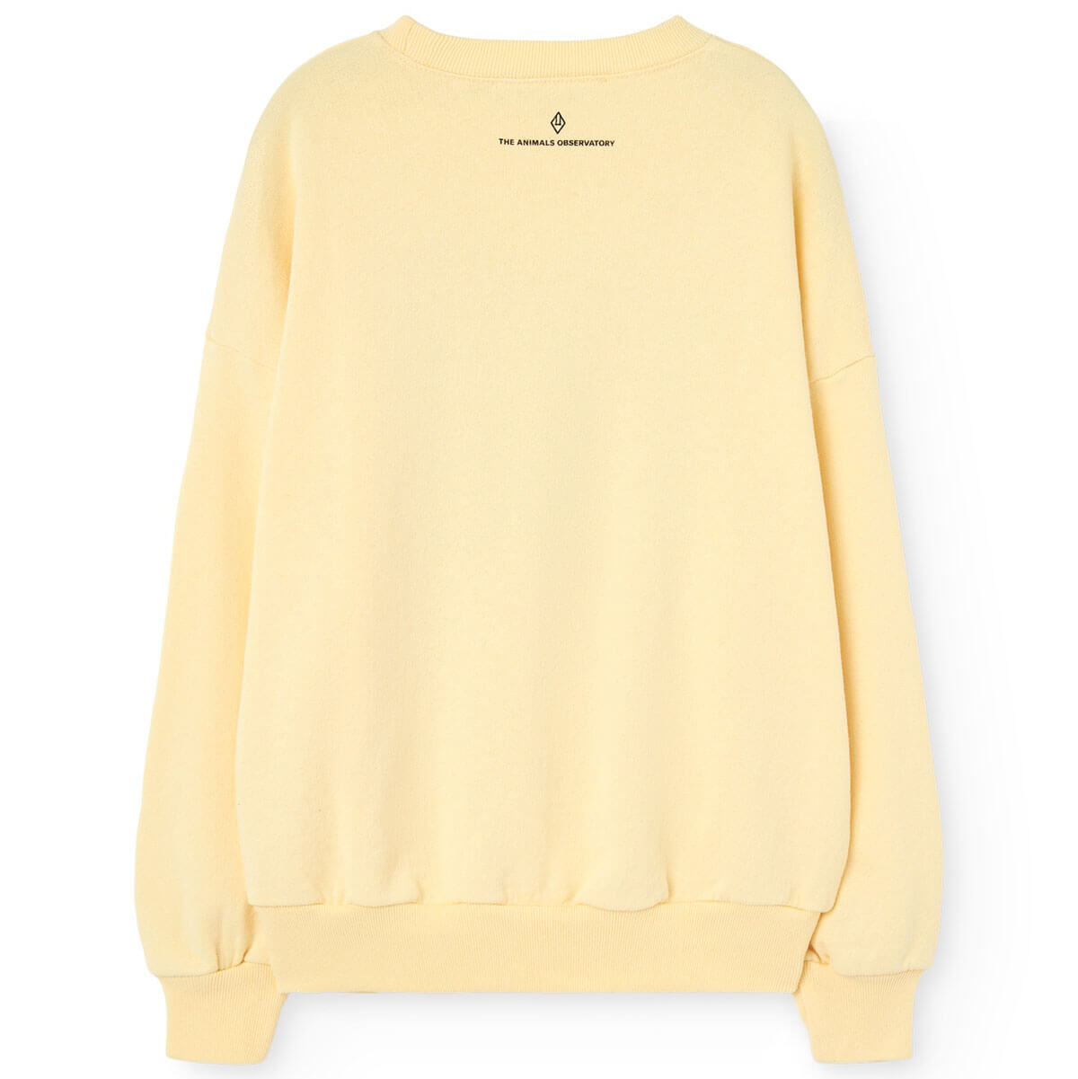 Killifish Kid Sweatshirt in Soft Yellow by The Animals Observatory