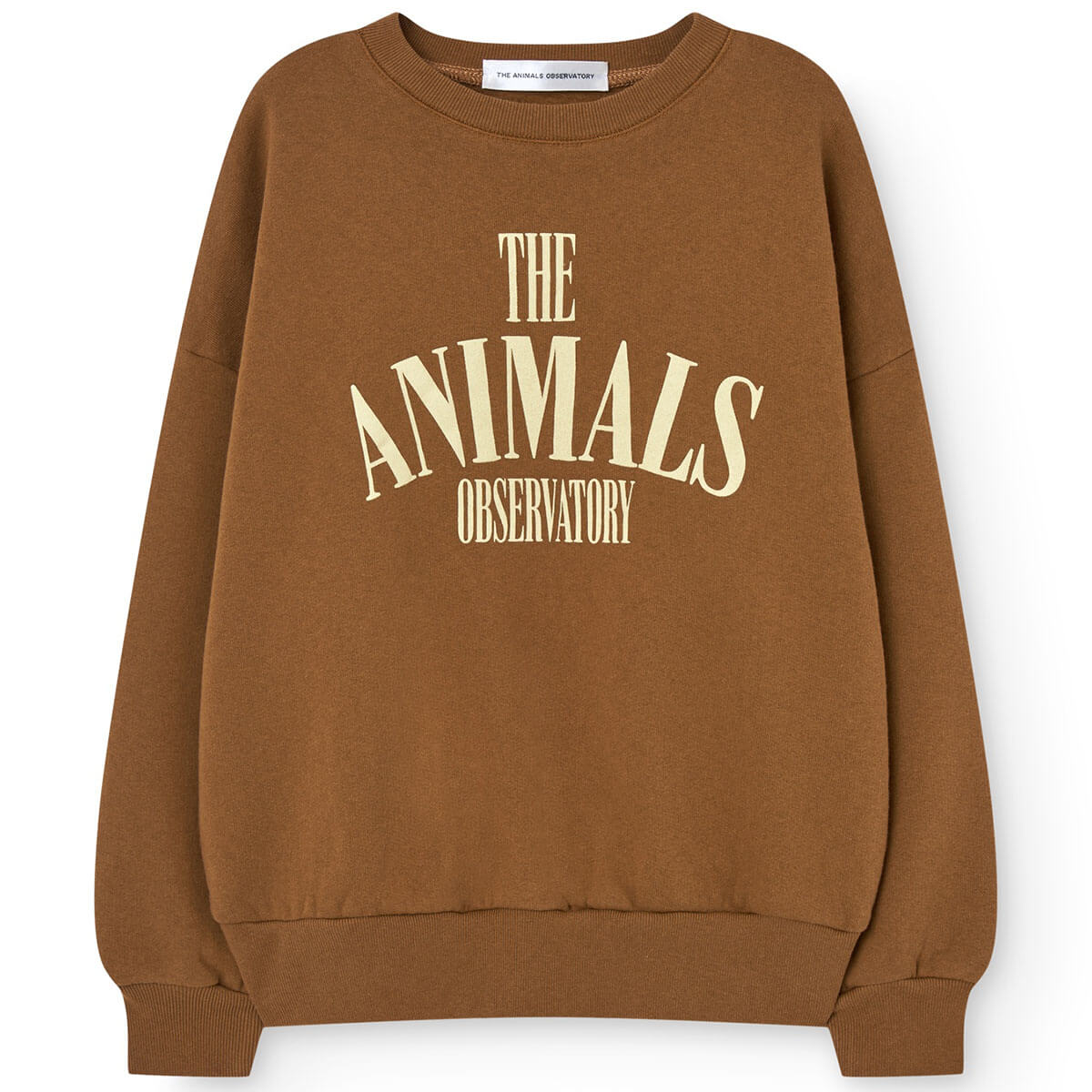 Killifish Warm Kid Sweatshirt in Brown by The Animals Observatory