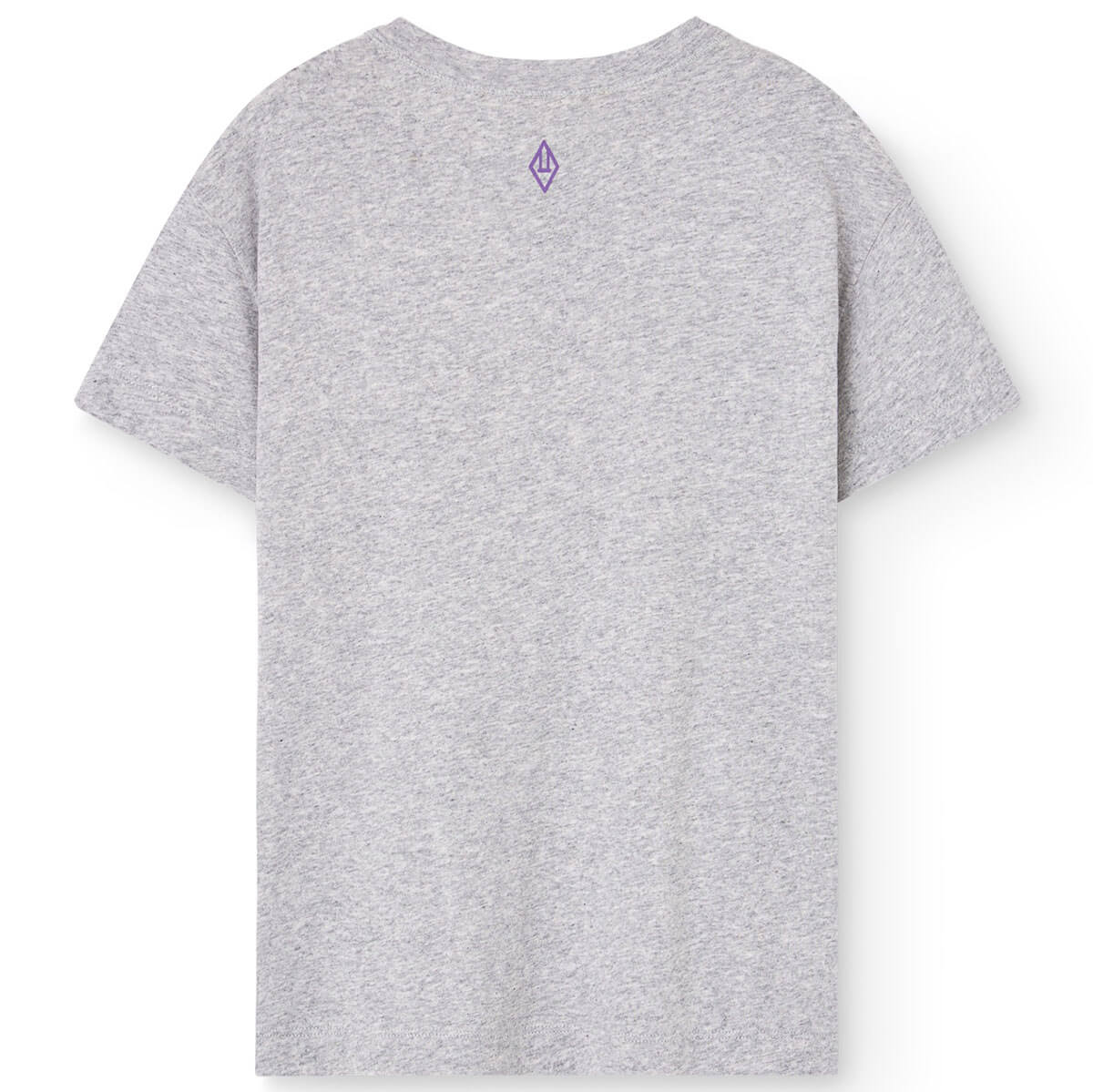 Pupfish Kid T-Shirt in Grey Heather by The Animals Observatory