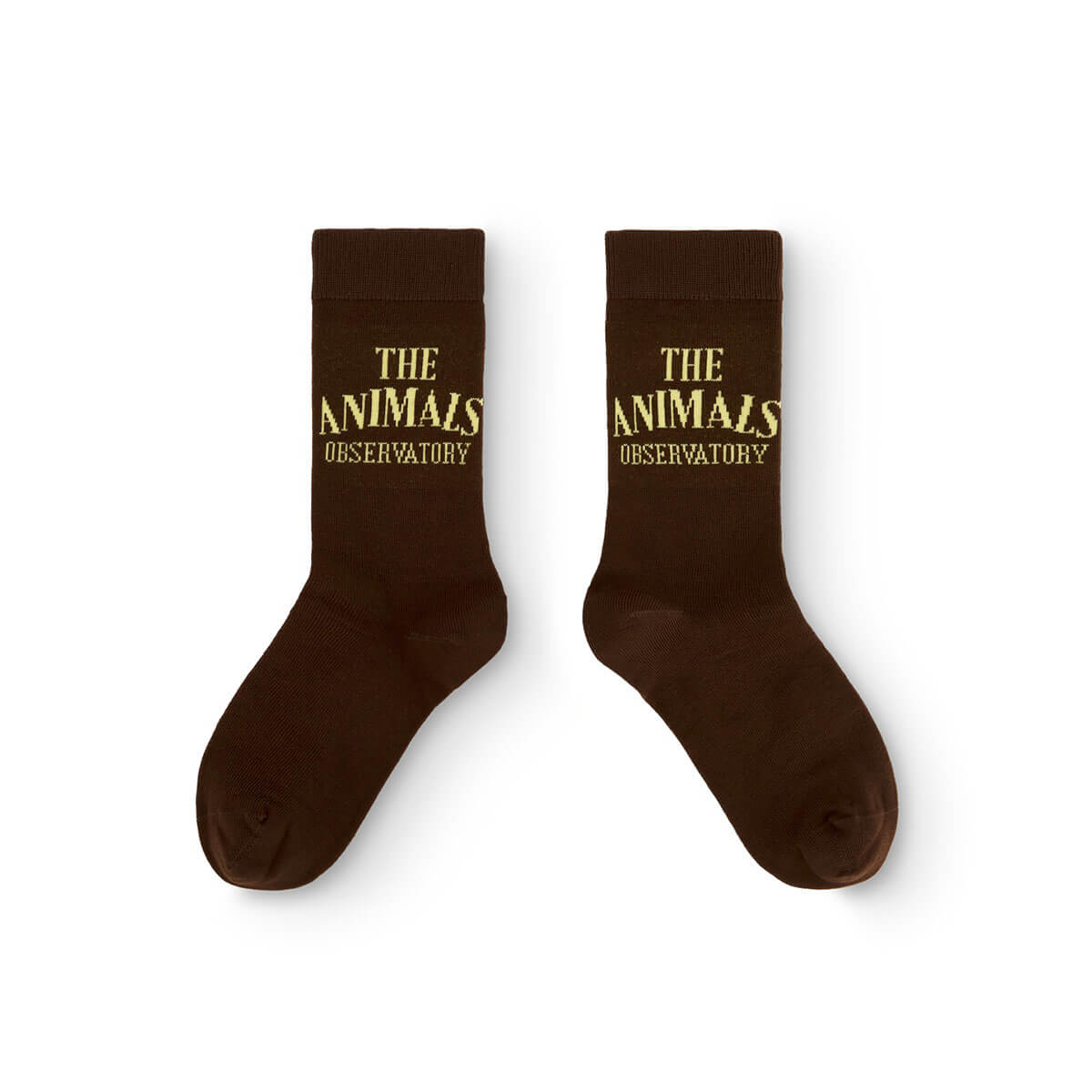 Snail Kid Socks in Brown by The Animals Observatory