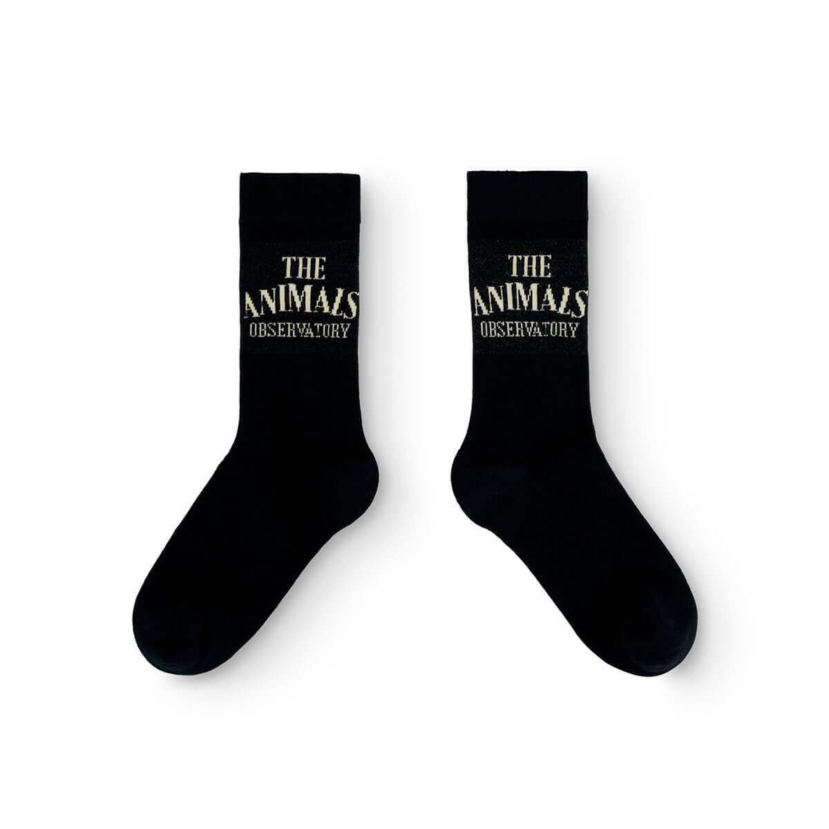 Snail Kid Socks in Navy by The Animals Observatory