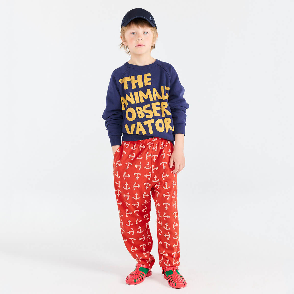 The Animals Observatory – Junior Edition