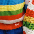 Canela Jumper in Tulip Red Multicolour Stripes by The New Society