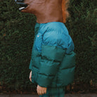 Color Block Short Padded Jacket in Dark Cyan by Tinycottons