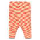 Stripes Rib Baby Pant in Summer Red by Tinycottons