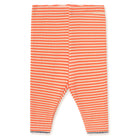Stripes Rib Baby Pant in Summer Red by Tinycottons