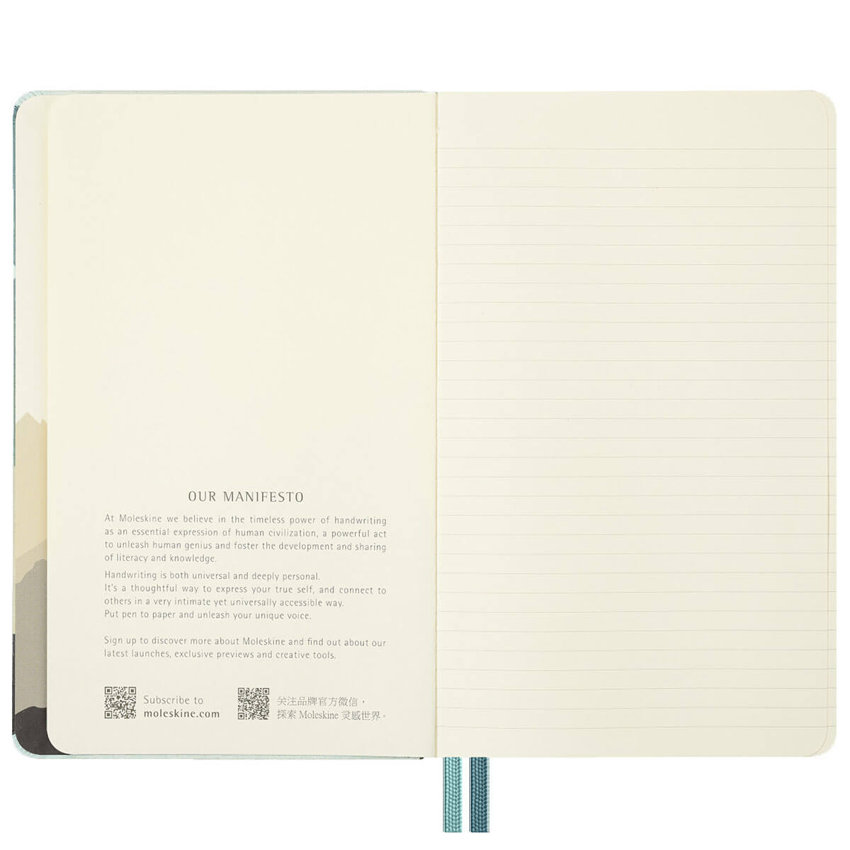 The Lord of the Rings Limited Edition Aragorn Large Ruled Notebook by Moleskine