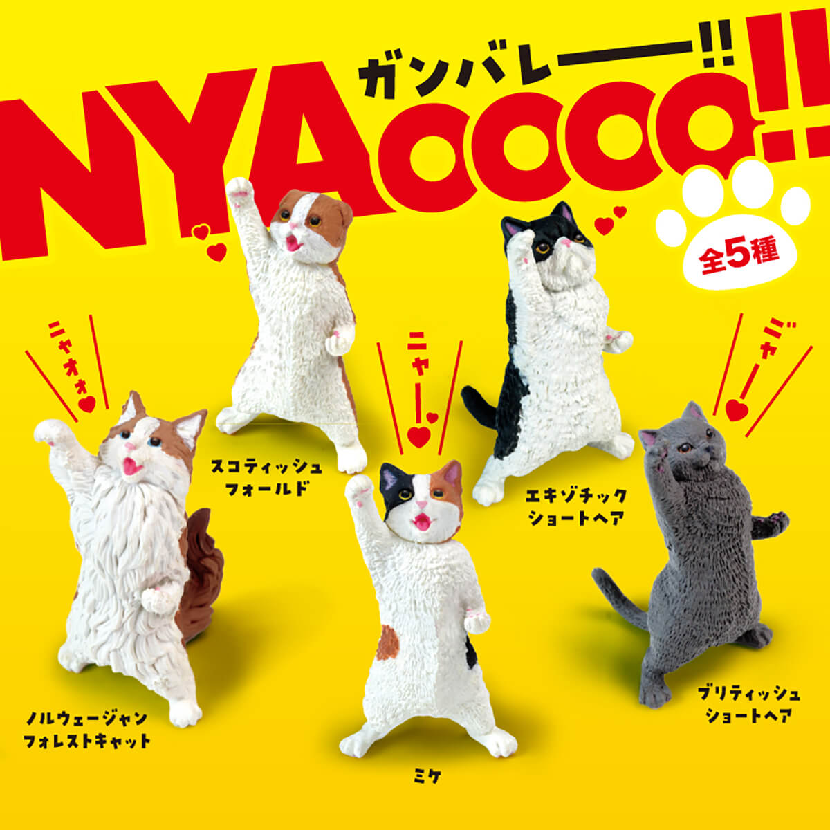 Nyaooo! Cat Blind Box by Yell Japan – Junior Edition