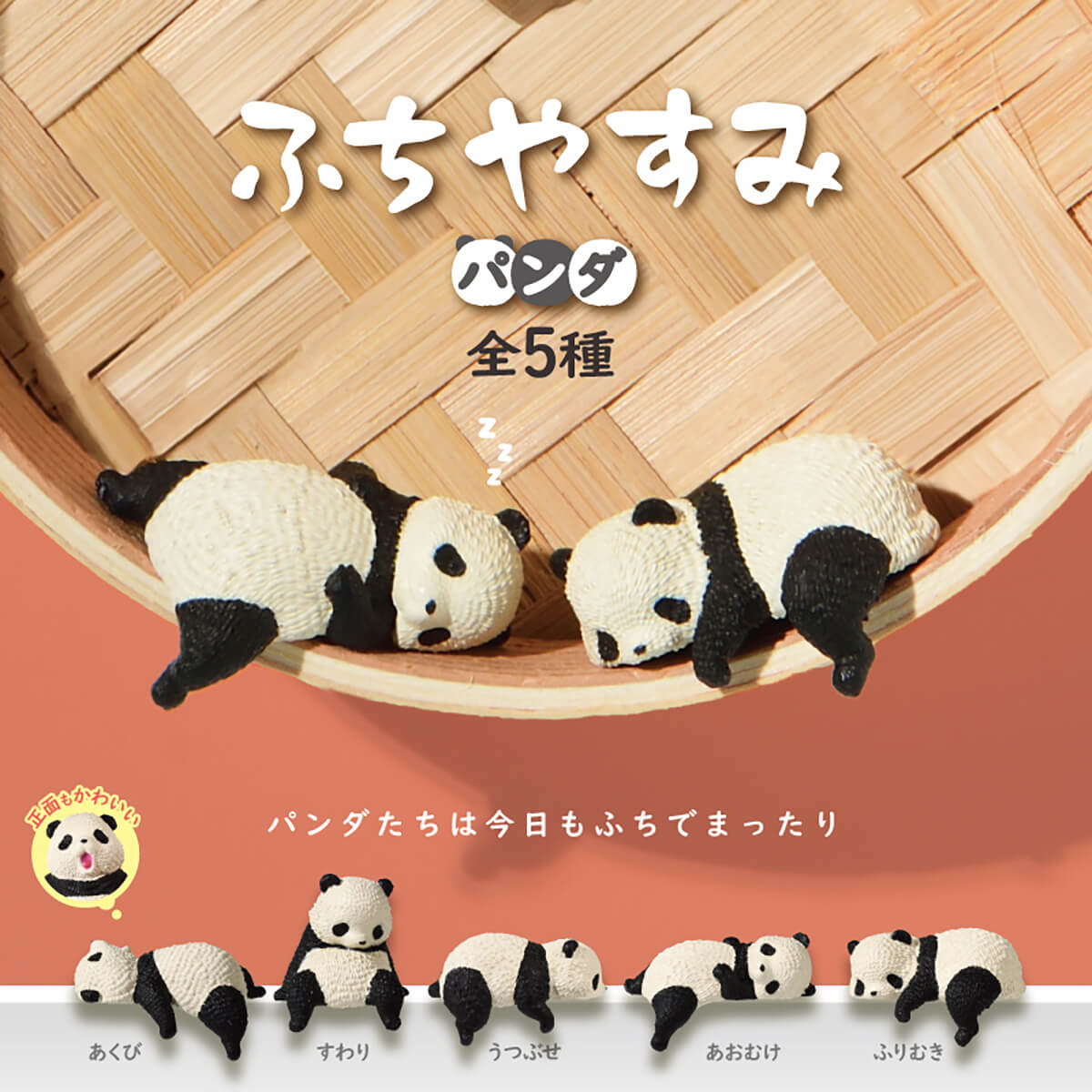Edge Resting Panda Blind Box by Yell Japan – Junior Edition