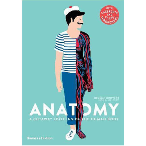 Anatomy: A Cutaway Look Inside the Human Body by Hélène Druvert & Jean-Claude Druvert