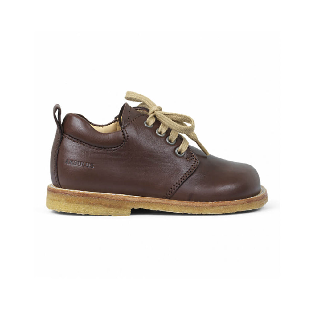 Wide Fit Lace Up Shoe in Angulus Brown by Angulus