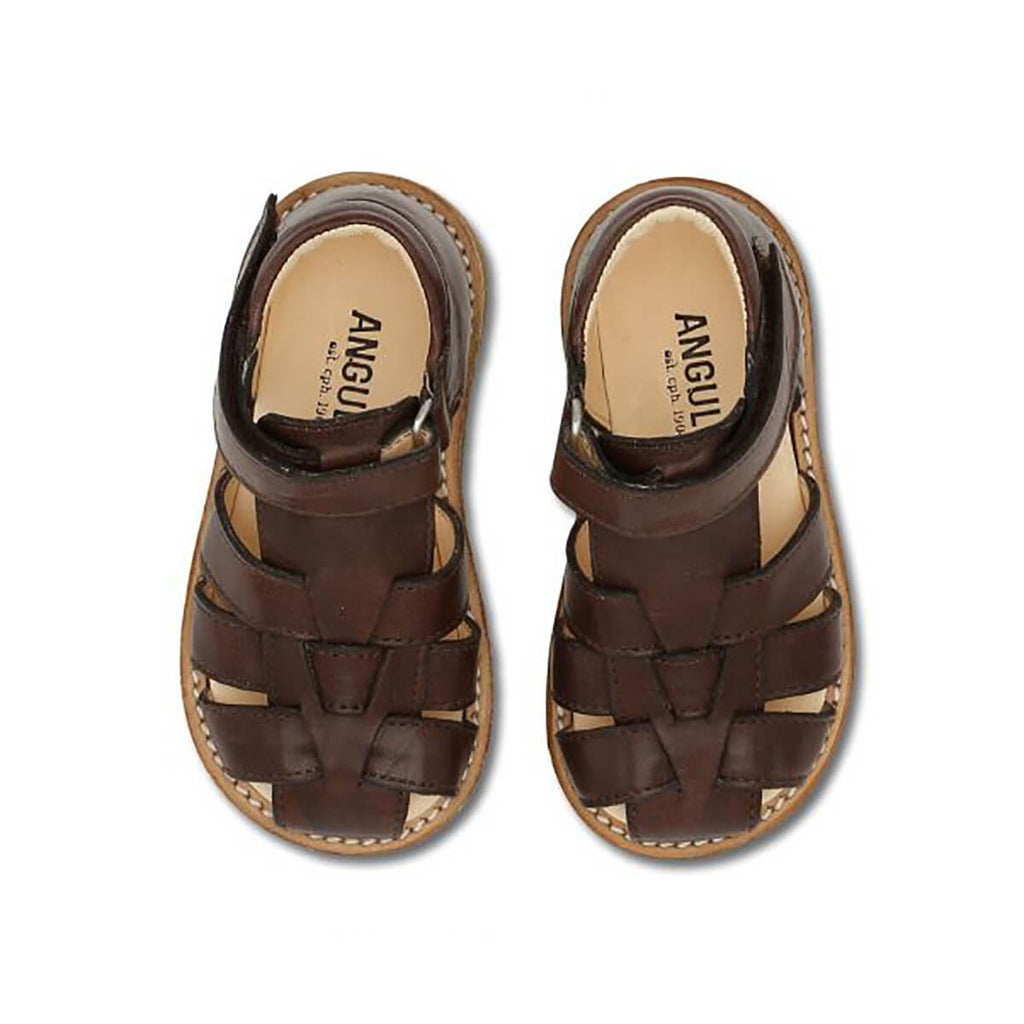 Fisherman Toddler Sandals in Angulus Brown by Angulus