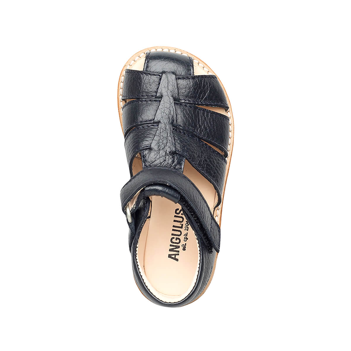 Fisherman Sandals in Navy by Angulus