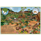 Atlas Of Miniature Adventures by Emily Hawkins & Lucy Letherland