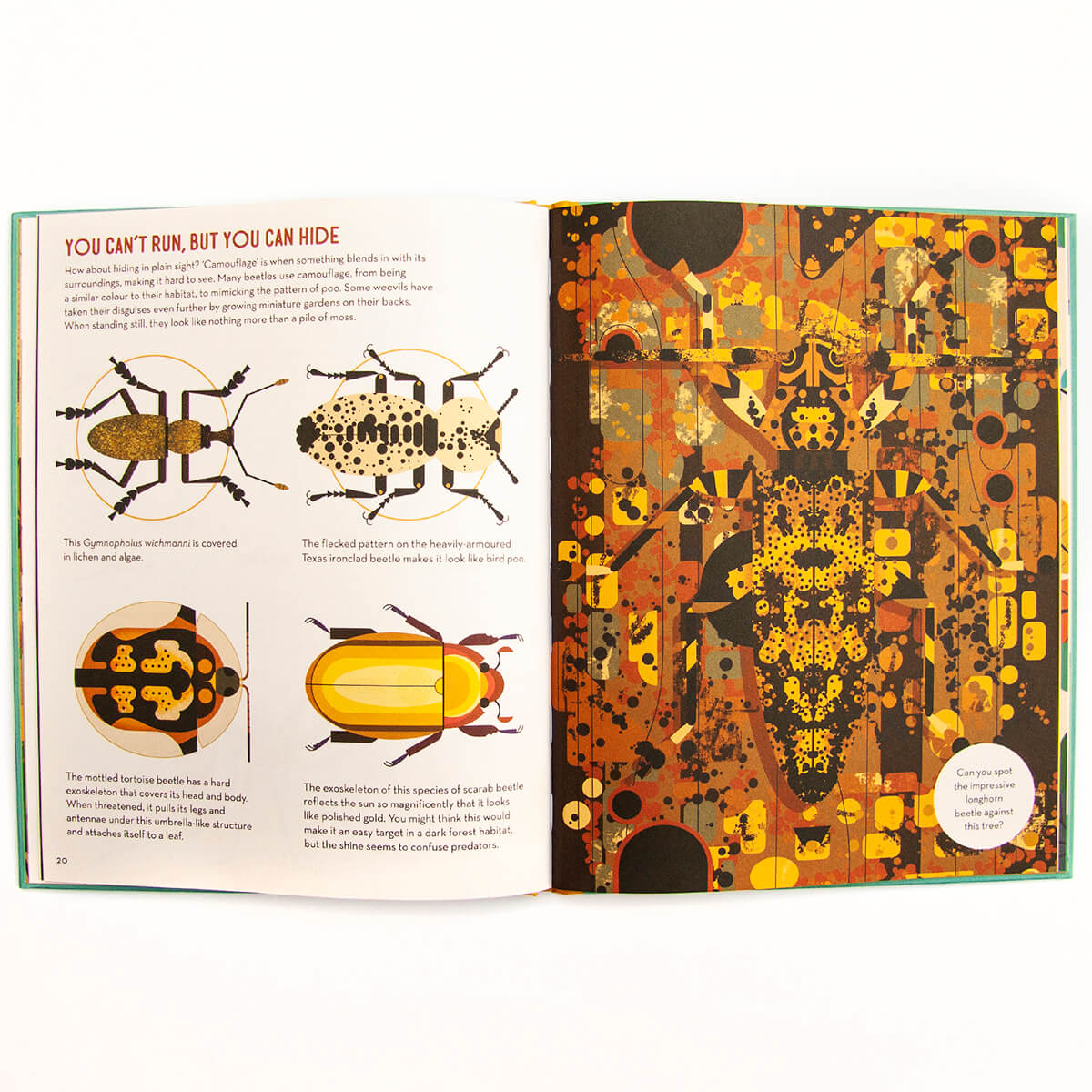 Bonkers About Beetles by Owen Davey