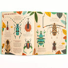 Bonkers About Beetles by Owen Davey