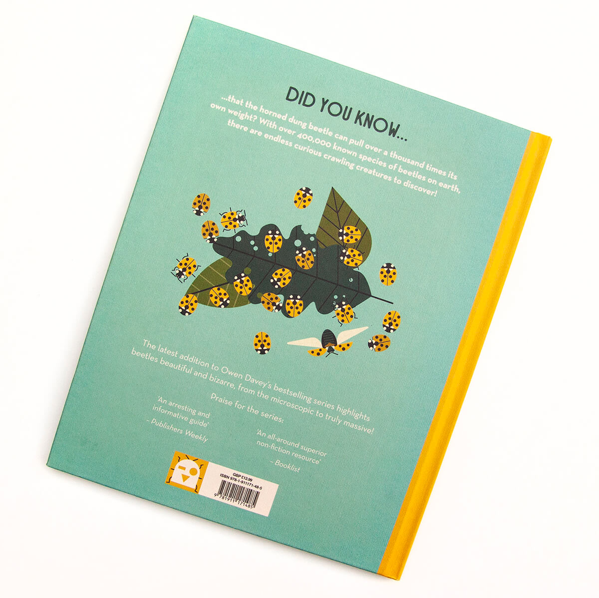 Bonkers About Beetles by Owen Davey