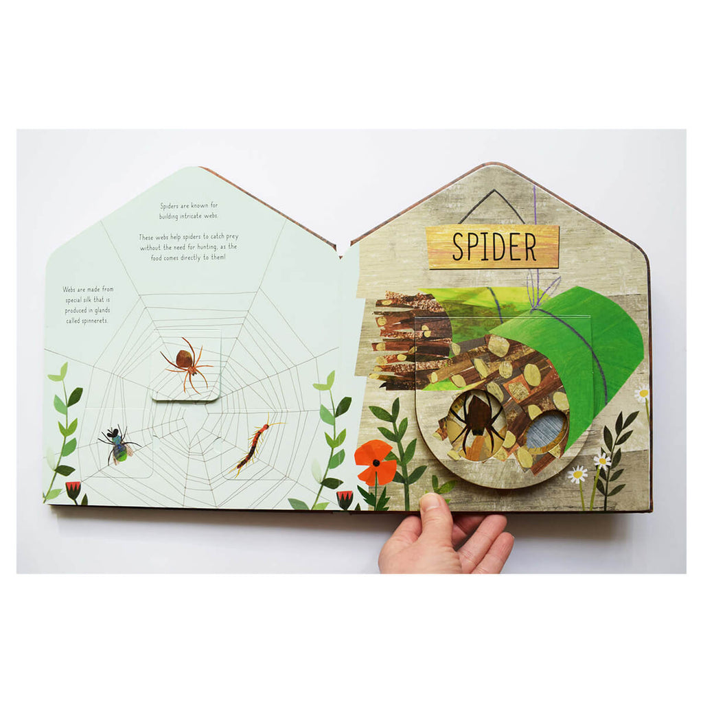 Bug Hotel: A Clover Robin Book Of Nature by Libby Walden & Clover Robin