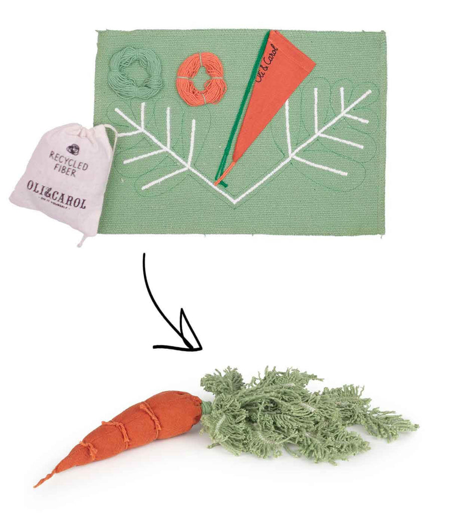 DIY Cathy The Carrot Craft Kit by Oli & Carol