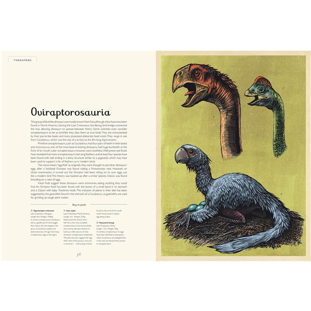 Dinosaurium by Lily Murray & Chris Wormell