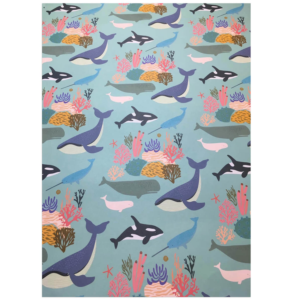 Whales Gift Wrap by Elena Essex for Earlybird Designs