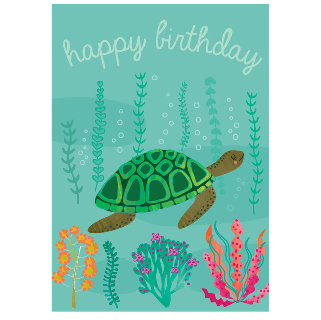 Happy Birthday Turtle Greetings Card by Elena Essex for Earlybird Designs